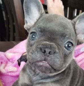 Meet your Posher, Mary jane